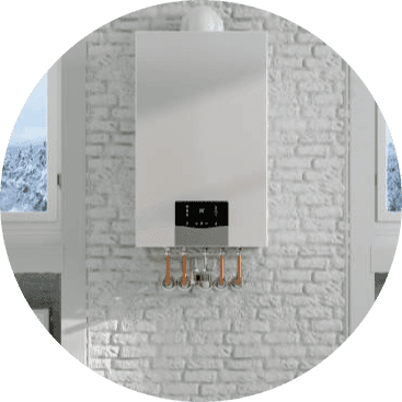 WhatsApp Image 2024 12 22 at 21.27.37 17 modified